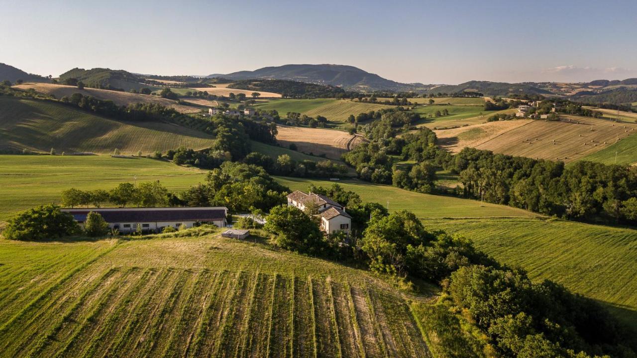 Agriturismo Podere Coldifico Sassoferrato 外观 照片