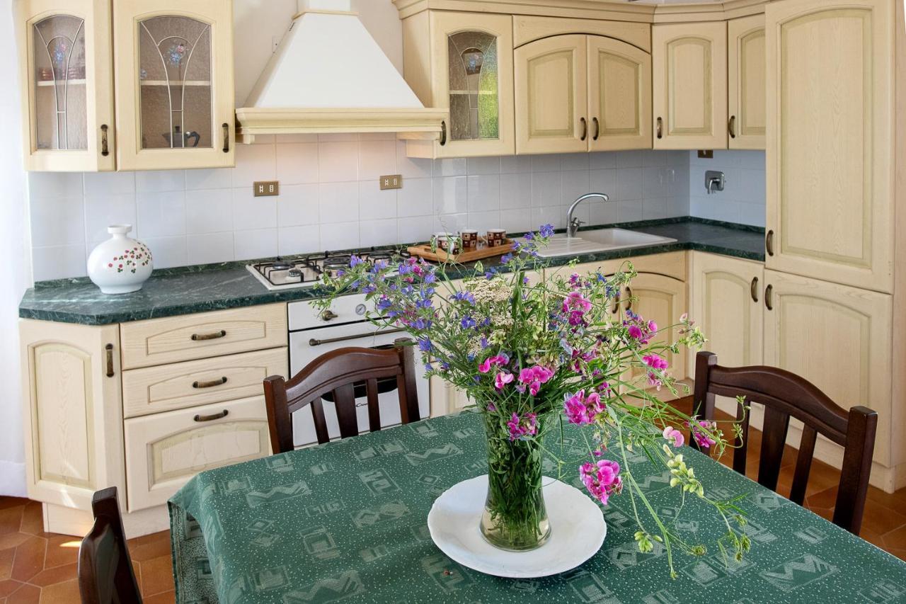 Agriturismo Podere Coldifico Sassoferrato 外观 照片