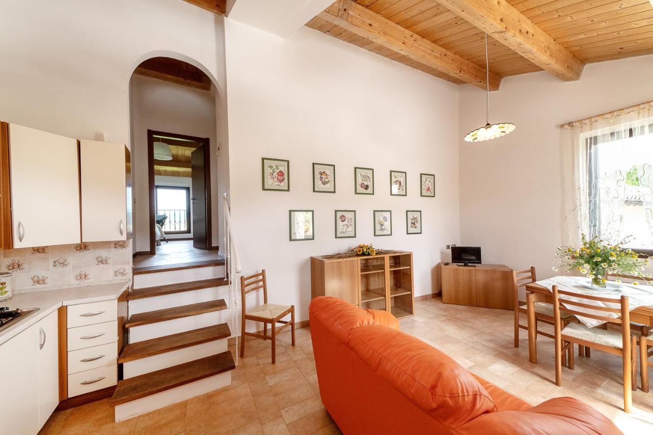 Agriturismo Podere Coldifico Sassoferrato 外观 照片