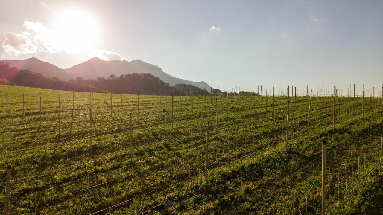 Agriturismo Podere Coldifico Sassoferrato 外观 照片